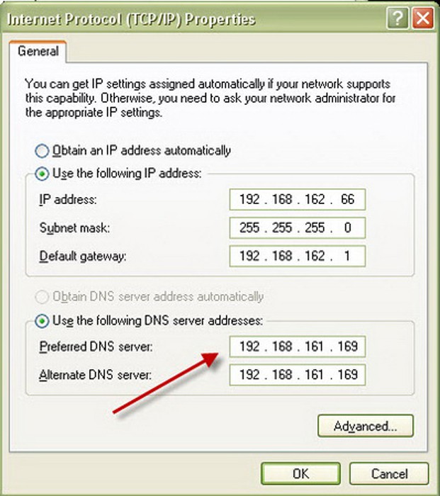 Điền địa chỉ vào ô “Preferred DNS Server” và ô “Alternate DNS Server”