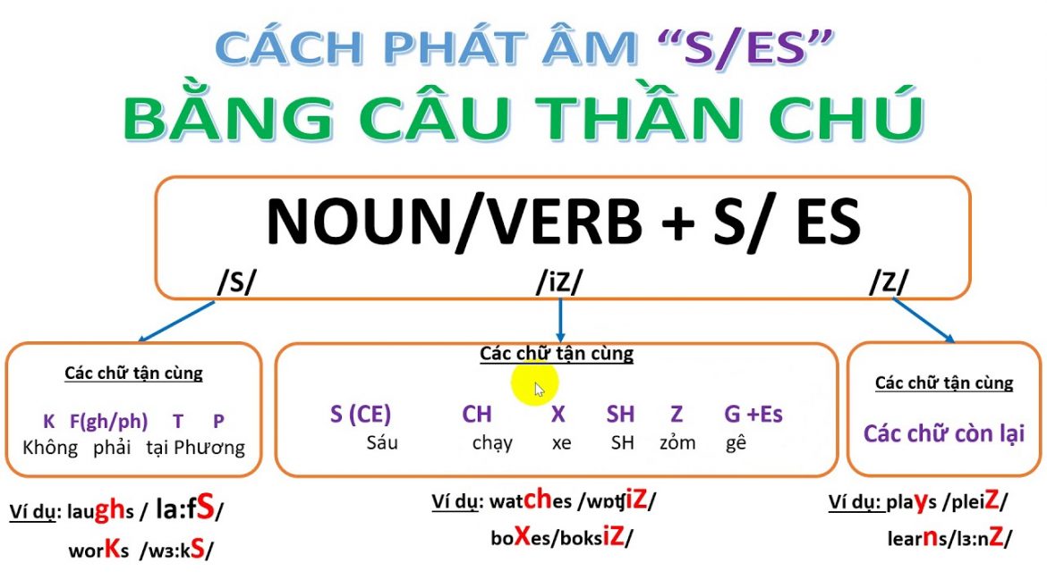 cach-phat-am-s-es Cách phát âm s và es